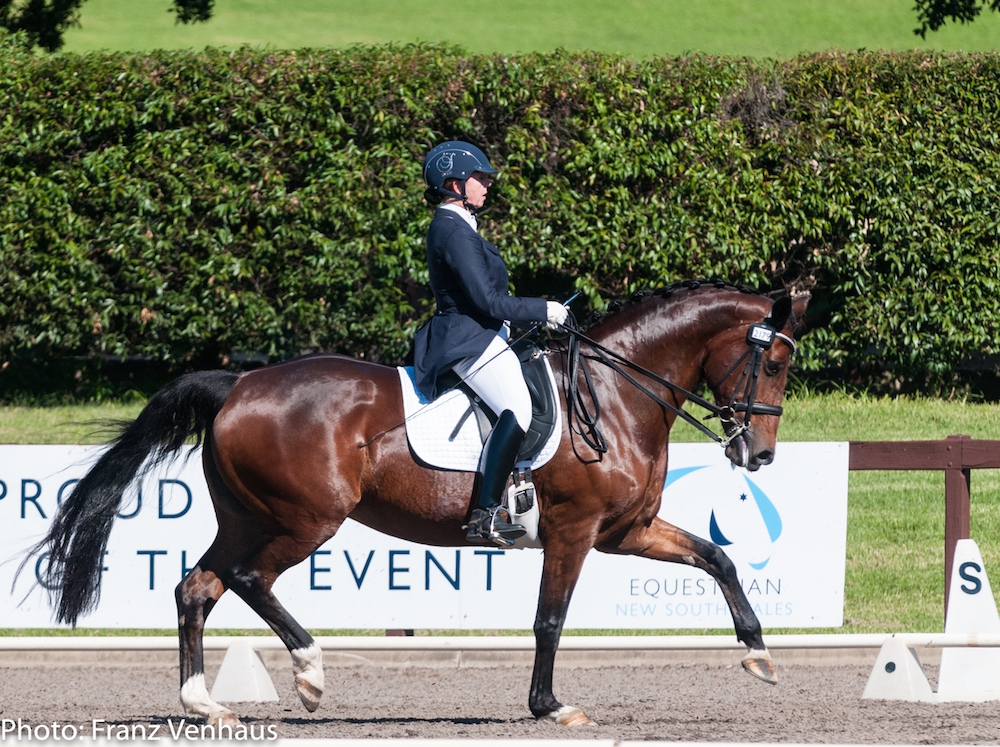 2015 NSW Dressage Championships more varied than ever before